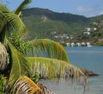 Tortola is laced with charming cottages by the sea.