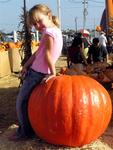 Ellie and her pumpkin of choice.