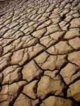 The cracked earth of Death Valley.  Bring your own water here!