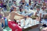 For a little intellectual stimulation, you can engage in a game of chess, played with dildos of course.