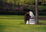 A quiet kiss in a near-by park.