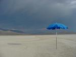 One of my artsy shots.  I call this "desert umbrella".