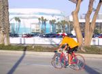 Kevin blowing past the Long Beach "wall of whales."