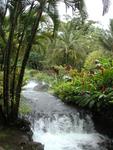 Tabacon Resort at the foot of Arenal Volcano.