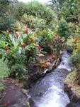 Tabacon Resort, a four-hour drive from Marina Flamingo.