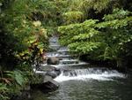 A waterfall at Tabacon Resort.