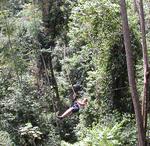 Cherie gliding through the trees.