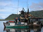 Pirate ships in Golfito Bay?