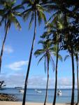The palm tree lined anchorage at Isla Contadora.  (Scirocco is in the middle.)