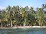 Can you guess what is the major export of the San Blas Islands?  Coconuts.