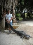 I guess gators are like kids.  If they don't want to go somewhere, you have to drag them.