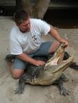 When you get bored watching WWF, you might consider GW (Gator Wrestling.)
