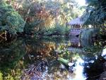 The gardens surrounding the "Bonnet House."