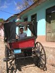 Kristi in a carriage, another common sight along the streets.