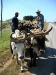 Friendly farmers still manage their fields the same ways their grandfathers did.