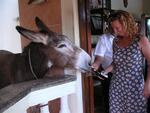 Sure enough, Cherie contributes to the delinquency of a donkey.