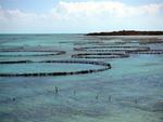 John thought a better name for the "Conch Farm" was the "Conch Spa and Resort."