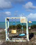 These swings are specially designed for the babies.