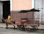 If I returned to this exact spot 3 hours later, the horse, the man, and the bike would all be in the same locations.