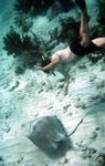 Tom with a stingray.