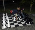 The giant chess match.  Cherie/Greg vs. Mike/Tom.