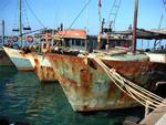 Fishing boats.