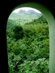 In the el Yunque rainforest the frogs sing like birds.