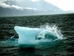 An ice-berg makes a splash as it capsizes itself.