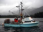 We seem to catch as many crabs at the commercial crabbing boats.