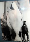 They don't make Halibut like that these days.