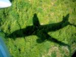 Our plane flying over the lush Alaskan greenery.
