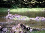 Little boy fishing in a stream.