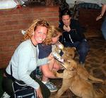 Cherie feeds a baby lion cub.