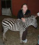 Kristi with a baby zebra.