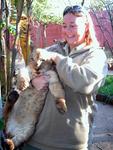 Gill with a lion cub.