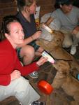 Susan feeds a cub.