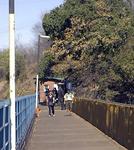 Will and Cherie walking down the bridge committed to the jump.  *Photo by Dom.