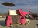 Pink elephant on safari in the Black Rock Desert.
