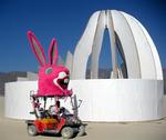 Out for a morning stroll in the bunny car.