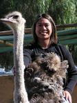 Renee is a natural (until the ostrich starts to move!)