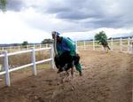 The professionals make ostrich racing look easy!