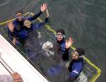 Cherie, Kristi, Carter & Renee in the shark cage.  *Photo by Dom.