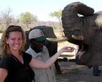 The elephant just can't get enough pellets.