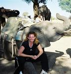 Cherie sits on the elephant's knee.