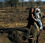 Cherie and Kristi on the elephant safari.  *Photo by Renee.