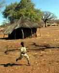 Zimbabwe boy runs after our van.  We throw him candies out the window.