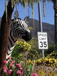 Zebra's be warned...don't exceed 35 miles-per-hour.