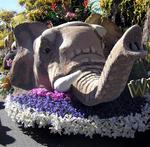 The elephant is decorated with herbs, moss and seeds.  His tusks are made of rice.