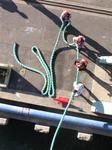 It takes four men to handle the huge line on the dock.