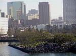 Crowds gather to watch the Midway dock.